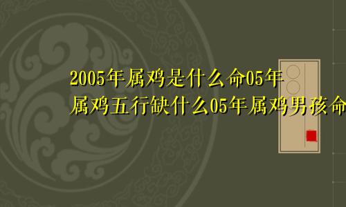 2005年属鸡是什么命05年属鸡五行缺什么05年属鸡男孩命运