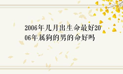 2006年几月出生命最好2006年属狗的男的命好吗