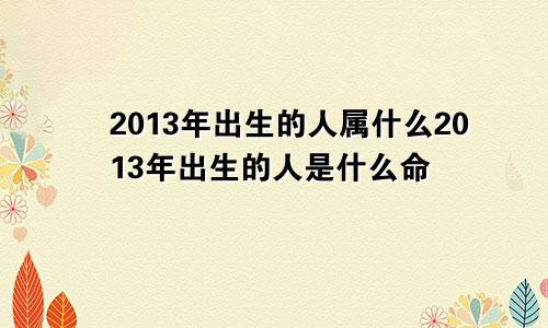 2013年出生的人属什么2013年出生的人是什么命