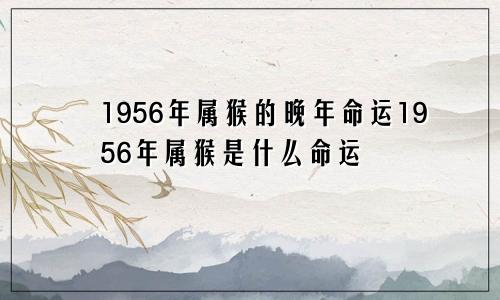 1956年属猴的晚年命运1956年属猴是什么命运