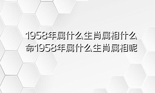 1958年属什么生肖属相什么命1958年属什么生肖属相呢