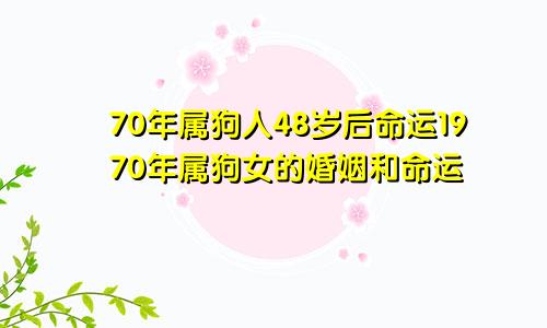 70年属狗人48岁后命运1970年属狗女的婚姻和命运