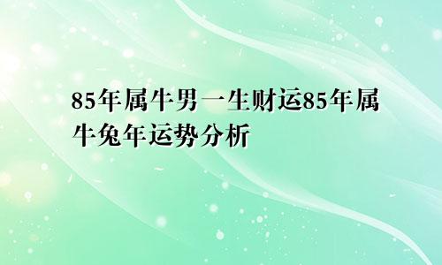 85年属牛男一生财运85年属牛兔年运势分析