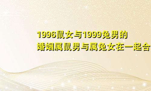 1996鼠女与1999兔男的婚姻属鼠男与属兔女在一起合适吗