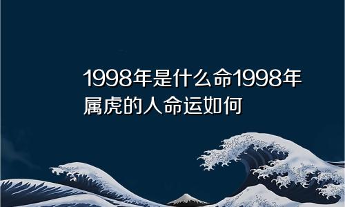 1998年是什么命1998年属虎的人命运如何