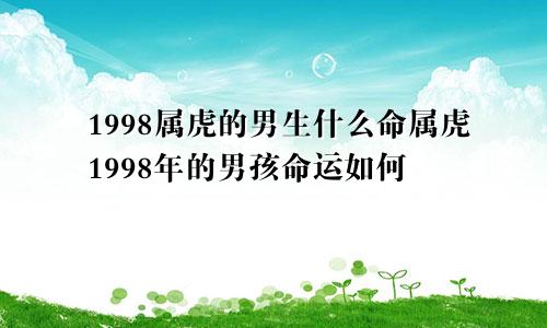 1998属虎的男生什么命属虎1998年的男孩命运如何