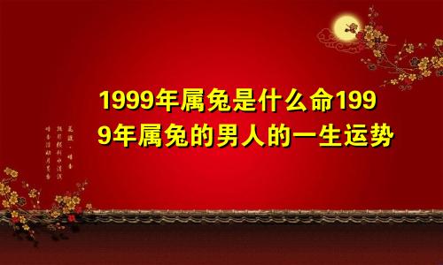 1999年属兔是什么命1999年属兔的男人的一生运势