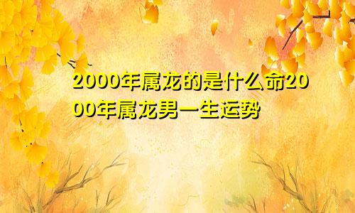 2000年属龙的是什么命2000年属龙男一生运势