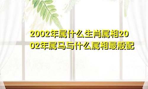 2002年属什么生肖属相2002年属马与什么属相最般配