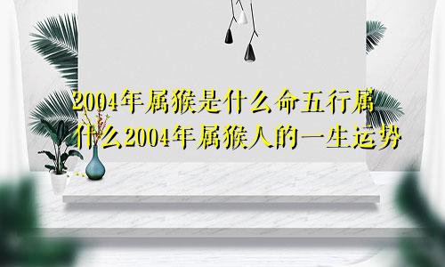 2004年属猴是什么命五行属什么2004年属猴人的一生运势