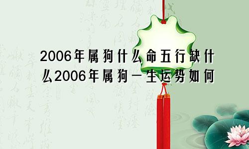 2006年属狗什么命五行缺什么2006年属狗一生运势如何