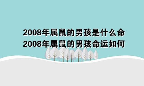 2008年属鼠的男孩是什么命2008年属鼠的男孩命运如何