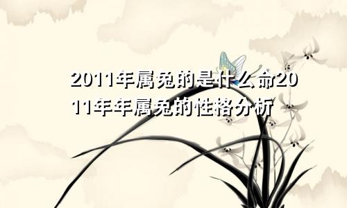 2011年属兔的是什么命2011年年属兔的性格分析