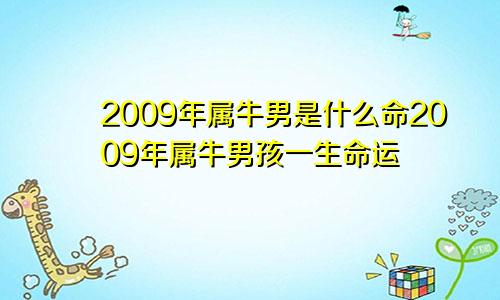 2009年属牛男是什么命2009年属牛男孩一生命运