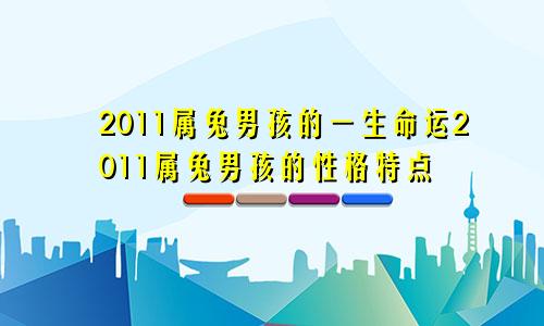 2011属兔男孩的一生命运2011属兔男孩的性格特点