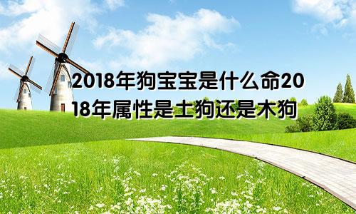 2018年狗宝宝是什么命2018年属性是土狗还是木狗