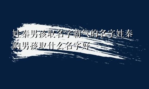 姓秦男孩取名字霸气的名字姓秦的男孩取什么名字好