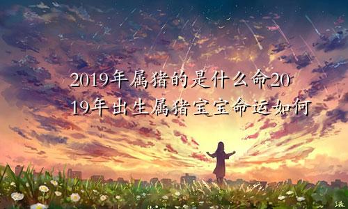 2019年属猪的是什么命2019年出生属猪宝宝命运如何