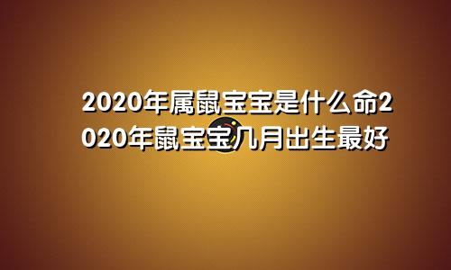 2020年属鼠宝宝是什么命2020年鼠宝宝几月出生最好