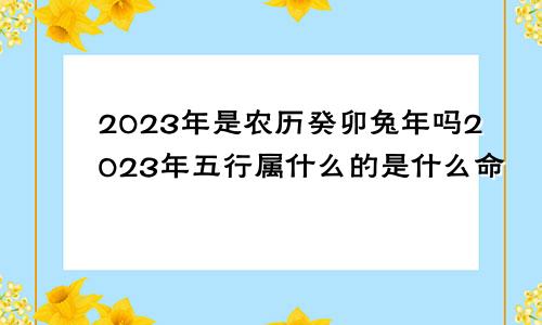 2023年是农历癸卯兔年吗2023年五行属什么的是什么命