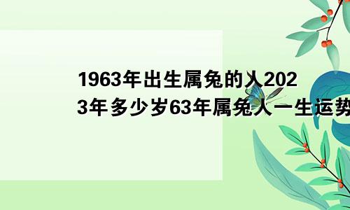 1963年出生属兔的人2023年多少岁63年属兔人一生运势