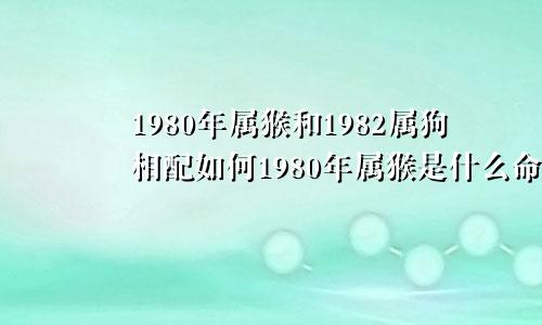 1980年属猴和1982属狗相配如何1980年属猴是什么命