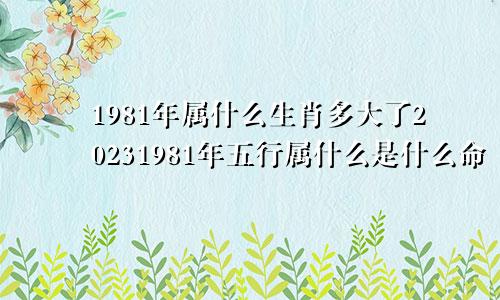 1981年属什么生肖多大了20231981年五行属什么是什么命