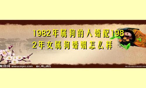 1982年属狗的人婚配1982年女属狗婚姻怎么样