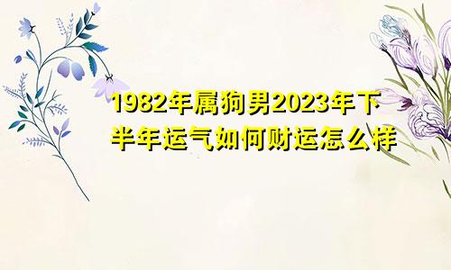 1982年属狗男2023年下半年运气如何财运怎么样