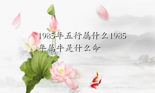 1985年五行属什么1985年属牛是什么命