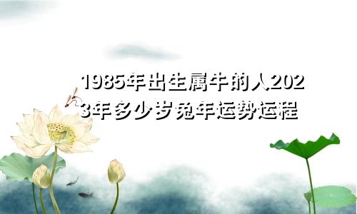 1985年出生属牛的人2023年多少岁兔年运势运程