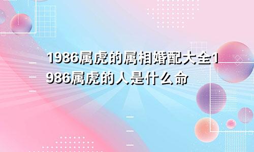 1986属虎的属相婚配大全1986属虎的人是什么命