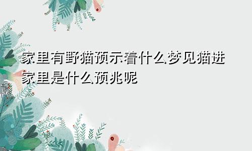 家里有野猫预示着什么梦见猫进家里是什么预兆呢