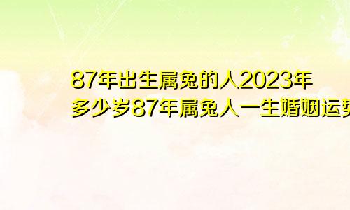 87年出生属兔的人2023年多少岁87年属兔人一生婚姻运势