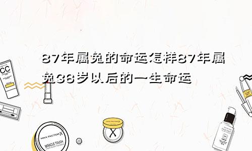 87年属兔的命运怎样87年属兔36岁以后的一生命运