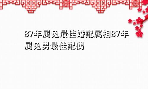 87年属兔最佳婚配属相87年属兔男最佳配偶