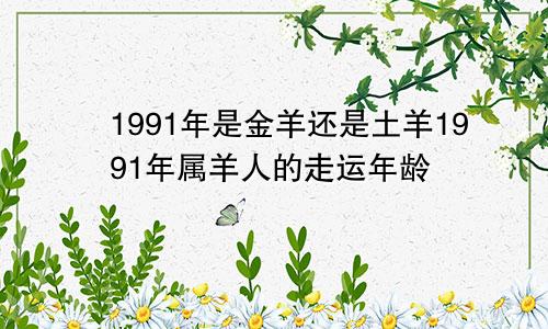 1991年是金羊还是土羊1991年属羊人的走运年龄