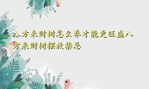 八方来财树怎么养才能更旺盛八方来财树摆放禁忌