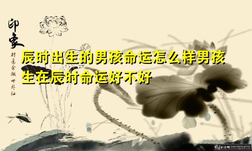 辰时出生的男孩命运怎么样男孩生在辰时命运好不好