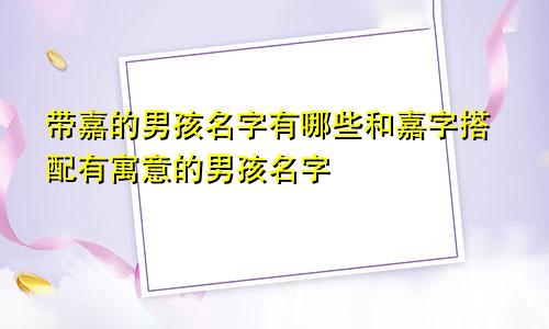 带嘉的男孩名字有哪些和嘉字搭配有寓意的男孩名字