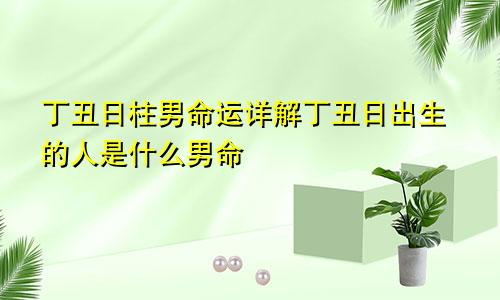 丁丑日柱男命运详解丁丑日出生的人是什么男命