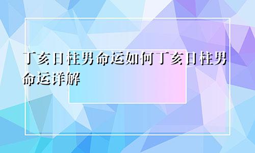 丁亥日柱男命运如何丁亥日柱男命运详解