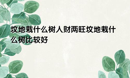 坟地栽什么树人财两旺坟地栽什么树比较好