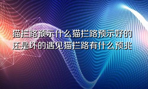 猫拦路预示什么猫拦路预示好的还是坏的遇见猫拦路有什么预兆