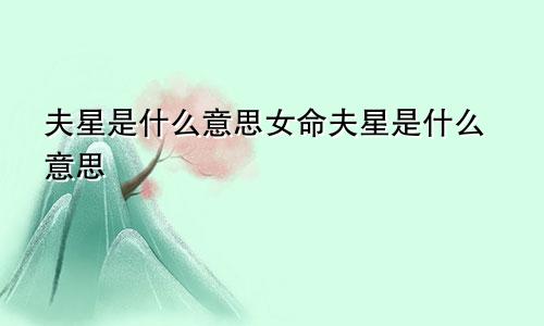 夫星是什么意思女命夫星是什么意思