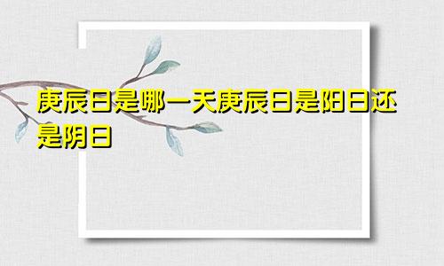 庚辰日是哪一天庚辰日是阳日还是阴日