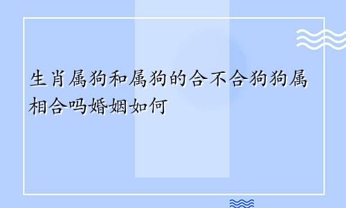 生肖属狗和属狗的合不合狗狗属相合吗婚姻如何