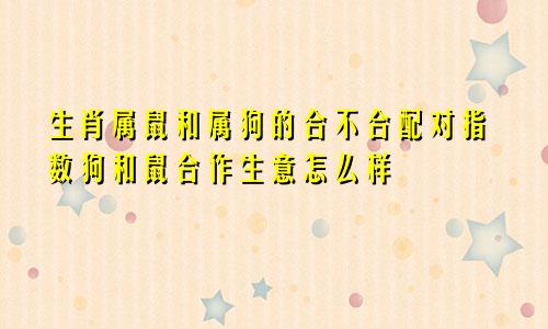 生肖属鼠和属狗的合不合配对指数狗和鼠合作生意怎么样