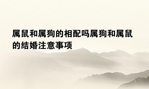 属鼠和属狗的相配吗属狗和属鼠的结婚注意事项