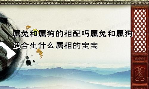 属兔和属狗的相配吗属兔和属狗适合生什么属相的宝宝